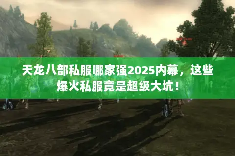 天龙八部私服哪家强2025内幕，这些爆火私服竟是超级大坑！