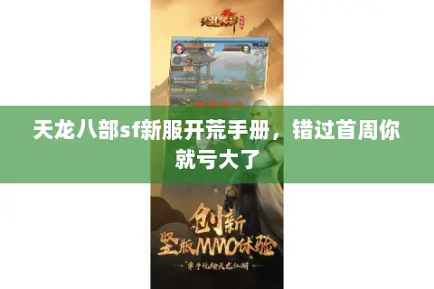 天龙八部sf新服开荒手册,错过首周你就亏大了 天龙八部sf新服开荒手册,错过首周你就亏大了