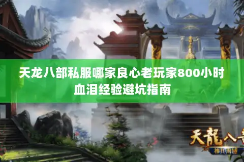 天龙八部私服哪家良心老玩家800小时血泪经验避坑指南 天龙八部私服哪家良心老玩家800小时血泪经验避坑指南