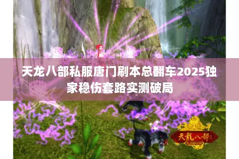 天龙八部私服唐门刷本总翻车2025独家稳伤套路实测破局 天龙八部私服唐门刷本总翻车2025独家稳伤套路实测破局