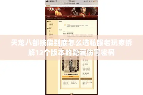 天龙八部技能到底怎么选私服老玩家拆解12个版本的隐藏伤害密码 天龙八部技能到底怎么选私服老玩家拆解12个版本的隐藏伤害密码