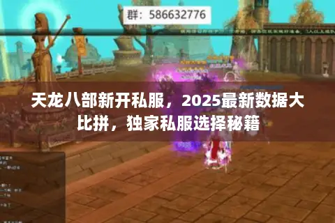 天龙八部新开私服，2025最新数据大比拼，独家私服选择秘籍