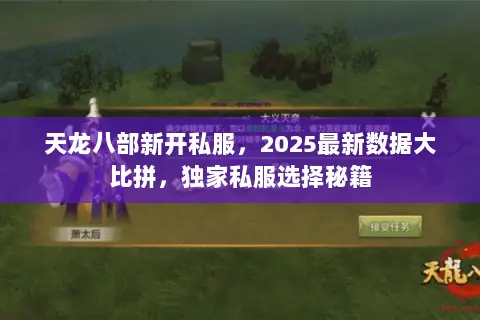 天龙八部新开私服，2025最新数据大比拼，独家私服选择秘籍