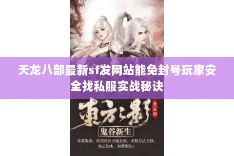 天龙八部最新sf发网站能免封号玩家安全找私服实战秘诀