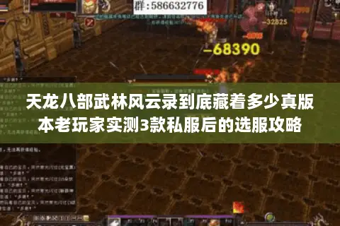 天龙八部武林风云录到底藏着多少真版本老玩家实测3款私服后的选服攻略 天龙八部武林风云录到底藏着多少真版本老玩家实测3款私服后的选服攻略