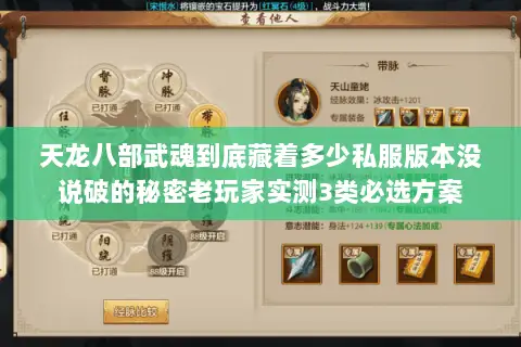 天龙八部武魂到底藏着多少私服版本没说破的秘密老玩家实测3类必选方案 天龙八部武魂到底藏着多少私服版本没说破的秘密老玩家实测3类必选方案