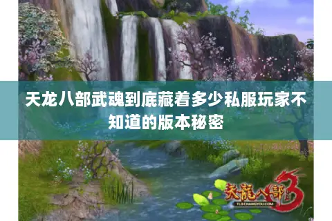 天龙八部武魂到底藏着多少私服玩家不知道的版本秘密 天龙八部武魂到底藏着多少私服玩家不知道的版本秘密