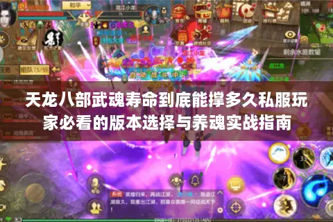 天龙八部武魂寿命到底能撑多久私服玩家必看的版本选择与养魂实战指南 天龙八部武魂寿命到底能撑多久私服玩家必看的版本选择与养魂实战指南