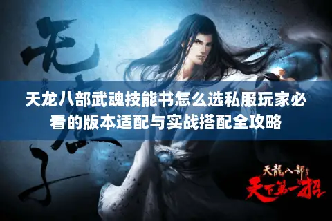 天龙八部武魂技能书怎么选私服玩家必看的版本适配与实战搭配全攻略 天龙八部武魂技能书怎么选私服玩家必看的版本适配与实战搭配全攻略