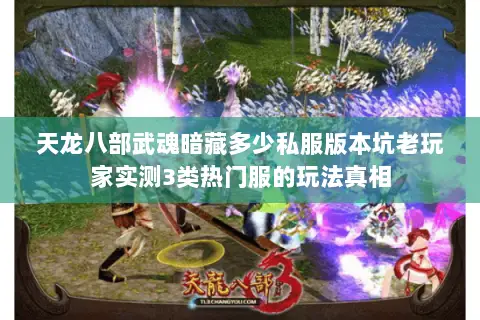 天龙八部武魂暗藏多少私服版本坑老玩家实测3类热门服的玩法真相 天龙八部武魂暗藏多少私服版本坑老玩家实测3类热门服的玩法真相