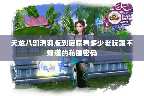 天龙八部清羽版到底藏着多少老玩家不知道的私服密码 天龙八部清羽版到底藏着多少老玩家不知道的私服密码