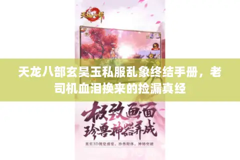 天龙八部玄昊玉私服乱象终结手册,老司机血泪换来的捡漏真经 天龙八部玄昊玉私服乱象终结手册,老司机血泪换来的捡漏真经