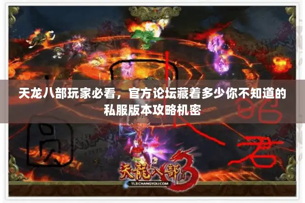 天龙八部玩家必看,官方论坛藏着多少你不知道的私服版本攻略机密 天龙八部玩家必看,官方论坛藏着多少你不知道的私服版本攻略机密