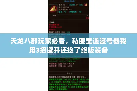 天龙八部玩家必看,私服里遇盗号器我用3招避开还捡了绝版装备 天龙八部玩家必看,私服里遇盗号器我用3招避开还捡了绝版装备
