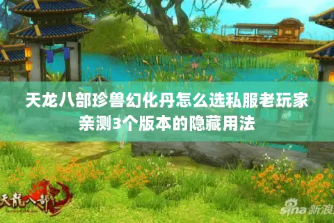 天龙八部珍兽幻化丹怎么选私服老玩家亲测3个版本的隐藏用法 天龙八部珍兽幻化丹怎么选私服老玩家亲测3个版本的隐藏用法