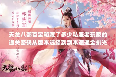 天龙八部百宝箱藏了多少私服老玩家的通关密码从版本选择到副本速通全扒光 天龙八部百宝箱藏了多少私服老玩家的通关密码从版本选择到副本速通全扒光