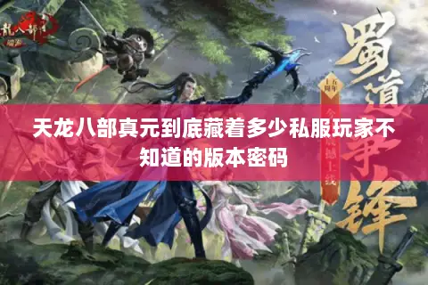 天龙八部真元到底藏着多少私服玩家不知道的版本密码 天龙八部真元到底藏着多少私服玩家不知道的版本密码