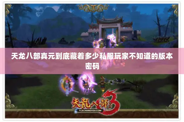 天龙八部真元到底藏着多少私服玩家不知道的版本密码 天龙八部真元到底藏着多少私服玩家不知道的版本密码