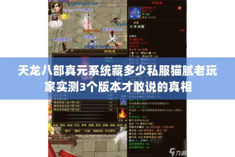 天龙八部真元系统藏多少私服猫腻老玩家实测3个版本才敢说的真相 天龙八部真元系统藏多少私服猫腻老玩家实测3个版本才敢说的真相