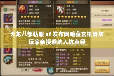 天龙八部私服 sf 发布网暗藏玄机骨灰玩家亲授避坑入坑真经 天龙八部私服 sf 发布网暗藏玄机骨灰玩家亲授避坑入坑真经