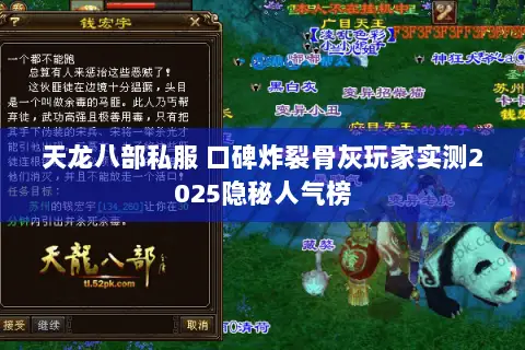 天龙八部私服 口碑炸裂骨灰玩家实测2025隐秘人气榜