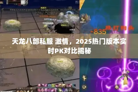 天龙八部私服 激情，2025热门版本实时PK对比揭秘