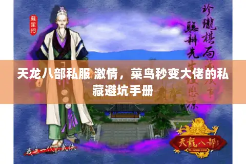 天龙八部私服 激情，菜鸟秒变大佬的私藏避坑手册