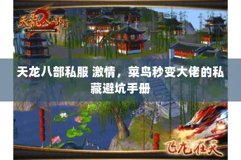 天龙八部私服 激情，菜鸟秒变大佬的私藏避坑手册