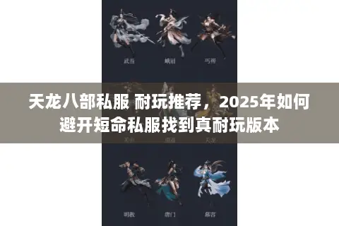 天龙八部私服 耐玩推荐，2025年如何避开短命私服找到真耐玩版本