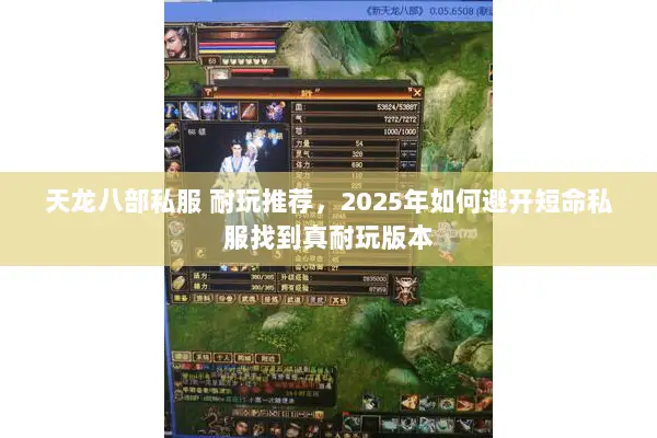 天龙八部私服 耐玩推荐，2025年如何避开短命私服找到真耐玩版本