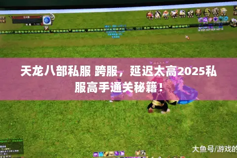 天龙八部私服 跨服,延迟太高2025私服高手通关秘籍! 天龙八部私服 跨服,延迟太高2025私服高手通关秘籍!