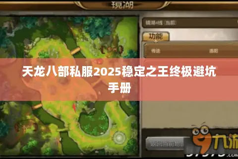 天龙八部私服2025稳定之王终极避坑手册
