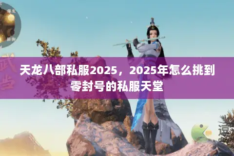 天龙八部私服2025，2025年怎么挑到零封号的私服天堂