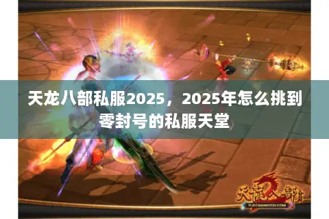 天龙八部私服2025，2025年怎么挑到零封号的私服天堂
