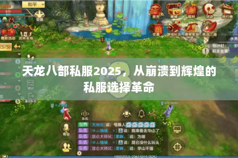 天龙八部私服2025，从崩溃到辉煌的私服选择革命