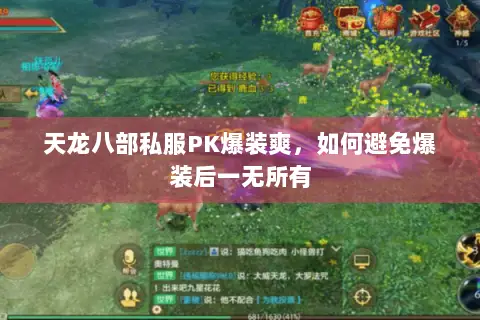 天龙八部私服PK爆装爽,如何避免爆装后一无所有 天龙八部私服PK爆装爽,如何避免爆装后一无所有