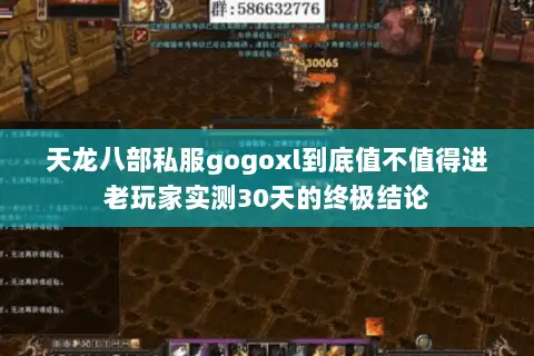 天龙八部私服gogoxl到底值不值得进老玩家实测30天的终极结论