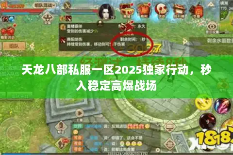 天龙八部私服一区2025独家行动，秒入稳定高爆战场