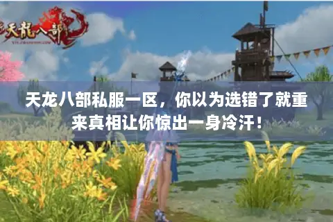 天龙八部私服一区，你以为选错了就重来真相让你惊出一身冷汗！