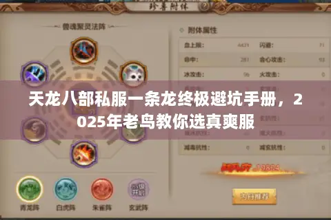 天龙八部私服一条龙终极避坑手册,2025年老鸟教你选真爽服 天龙八部私服一条龙终极避坑手册,2025年老鸟教你选真爽服