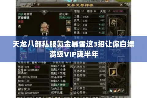 天龙八部私服氪金暴雷这3招让你白嫖满级VIP爽半年 天龙八部私服氪金暴雷这3招让你白嫖满级VIP爽半年