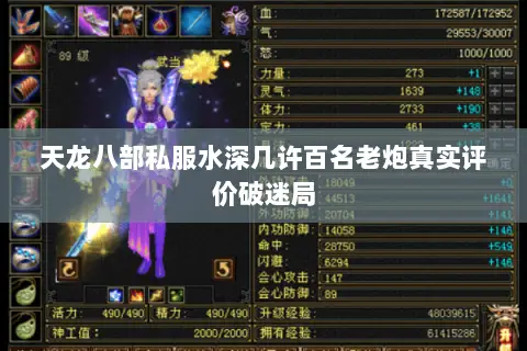天龙八部私服水深几许百名老炮真实评价破迷局 天龙八部私服水深几许百名老炮真实评价破迷局