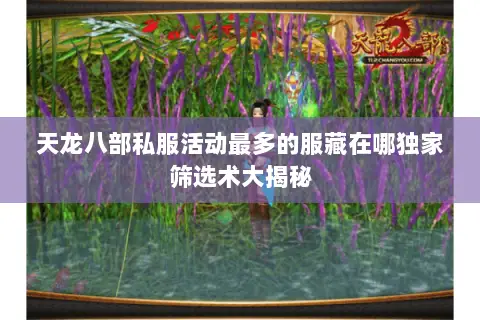 天龙八部私服活动最多的服藏在哪独家筛选术大揭秘 天龙八部私服活动最多的服藏在哪独家筛选术大揭秘