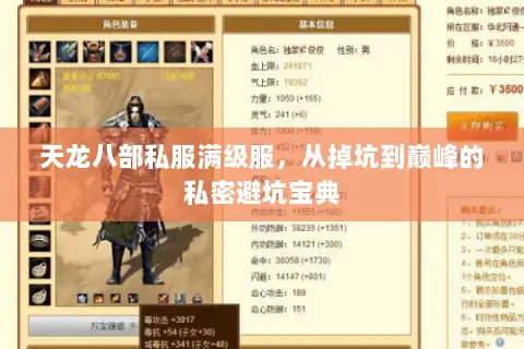 天龙八部私服满级服，从掉坑到巅峰的私密避坑宝典