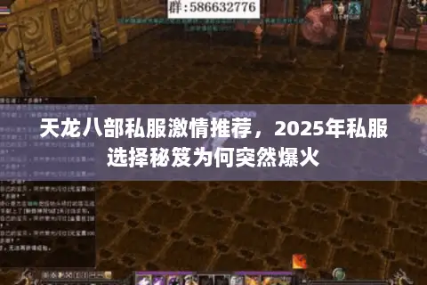 天龙八部私服激情推荐，2025年私服选择秘笈为何突然爆火