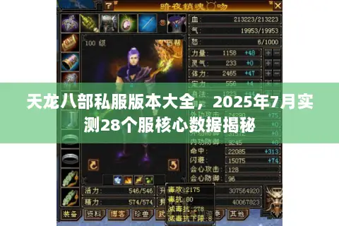 天龙八部私服版本大全,2025年7月实测28个服核心数据揭秘 天龙八部私服版本大全,2025年7月实测28个服核心数据揭秘