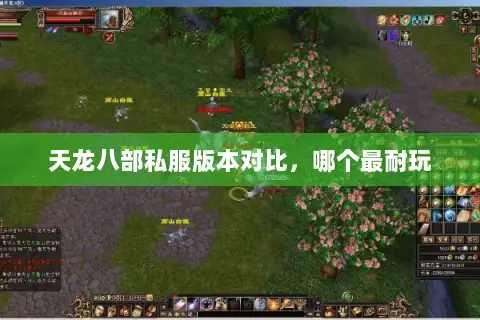 天龙八部私服版本对比，哪个最耐玩
