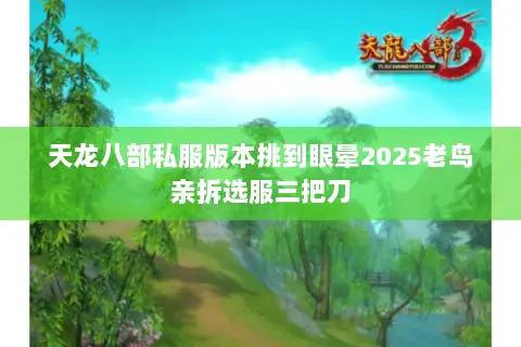 天龙八部私服版本挑到眼晕2025老鸟亲拆选服三把刀 天龙八部私服版本挑到眼晕2025老鸟亲拆选服三把刀