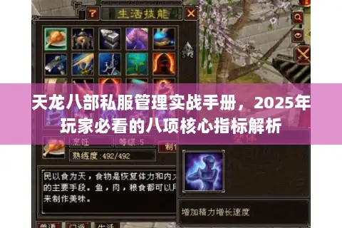 天龙八部私服管理实战手册,2025年玩家必看的八项核心指标解析 天龙八部私服管理实战手册,2025年玩家必看的八项核心指标解析