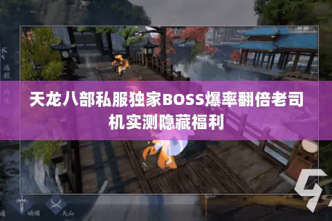 天龙八部私服独家BOSS爆率翻倍老司机实测隐藏福利